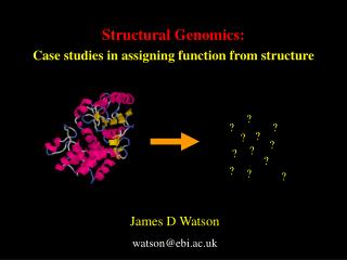 Structural Genomics: Case studies in assigning function from structure