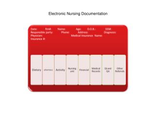Electronic Nursing Documentation