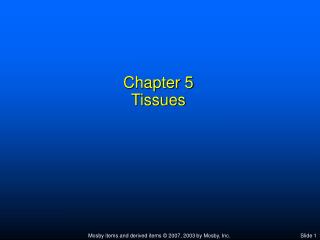 Chapter 5 Tissues