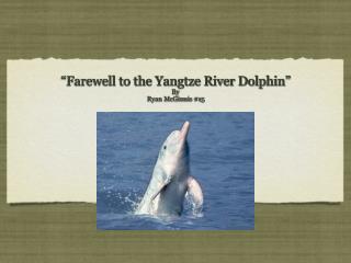 “Farewell to the Yangtze River Dolphin” By Ryan McGinnis #15