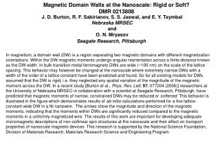 Magnetic Domain Walls at the Nanoscale: Rigid or Soft? DMR 0213808