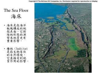 The Sea Floor 海床
