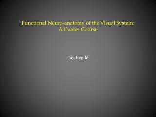 Functional Neuro-anatomy of the Visual System: A Coarse Course