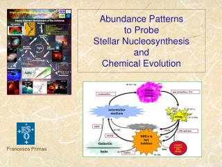 Abundance Patterns to Probe Stellar Nucleosynthesis and Chemical Evolution