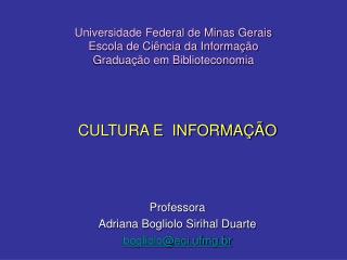 Universidade Federal de Minas Gerais Escola de Ciência da Informação Graduação em Biblioteconomia