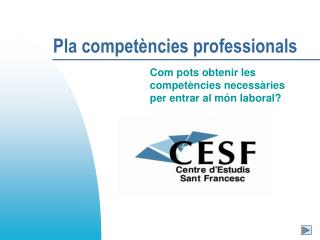 Pla competències professionals