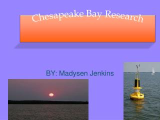 Chesapeake Bay Research