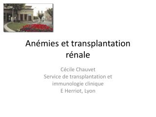 Anémies et transplantation rénale