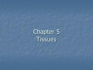 Chapter 5 Tissues