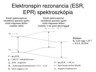 Elektronspin rezonancia (ESR, EPR) spektroszkópia