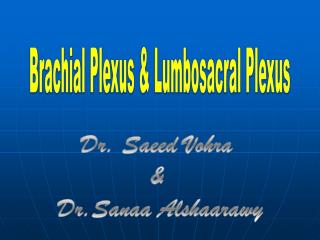 Brachial Plexus &amp; Lumbosacral Plexus