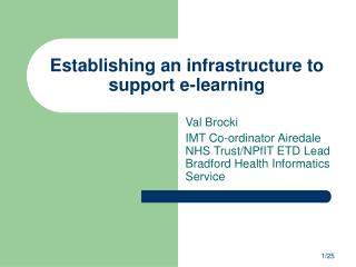 Establishing an infrastructure to support e-learning