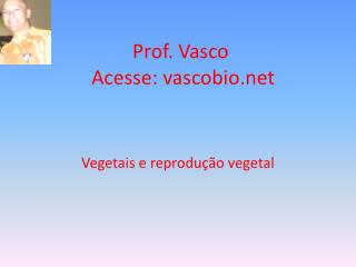 Prof. Vasco Acesse: vascobio