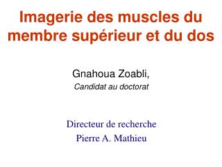 Imagerie des muscles du membre supérieur et du dos