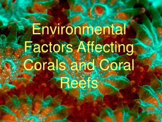 Environmental Factors Affecting Corals and Coral Reefs