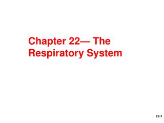 Chapter 22— The Respiratory System