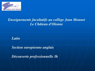 Enseignements facultatifs au collège Jean Monnet Le Château d'Olonne