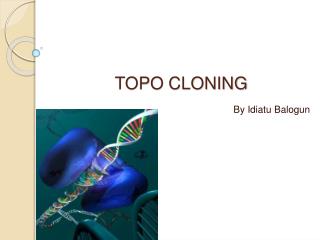 TOPO CLONING