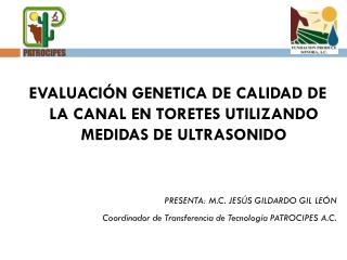 EVALUACIÓN GENETICA DE CALIDAD DE LA CANAL EN TORETES UTILIZANDO MEDIDAS DE ULTRASONIDO