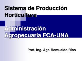 Sistema de Producción Horticultura Administración Agropecuaria FCA-UNA