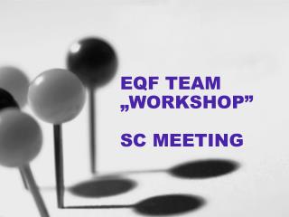 EQF TEAM „WORKSHOP” SC MEETING
