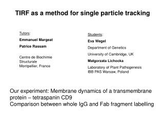 TIRF as a method for s ingle particle tracking