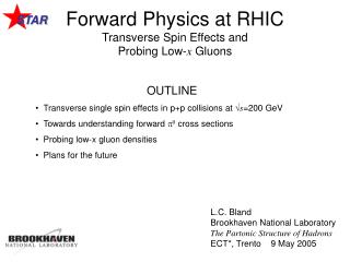 Forward Physics at RHIC Transverse Spin Effects and Probing Low- x Gluons