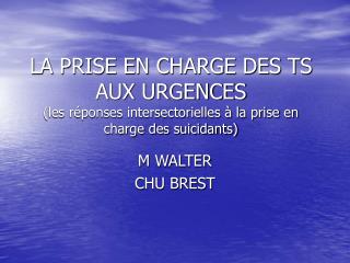 M WALTER CHU BREST