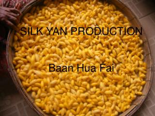 SILK YAN PRODUCTION Baan Hua Fai