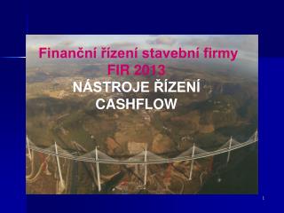 Finanční řízení stavební firmy FIR 2013 NÁSTROJE ŘÍZENÍ CASHFLOW