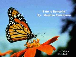 “I Am a Butterfly” By: Stephen Swinburne
