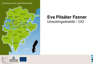 Eva Pilsäter Faxner Utvecklingsdirektör / CIO