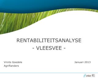 Rentabiliteitsanalyse - vleesvee -