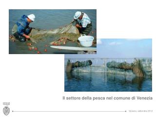 Il settore della pesca nel comune di Venezia