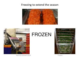 Freezing to extend the season