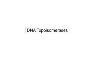 DNA Topoisomerases