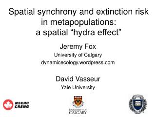 Spatial synchrony and extinction risk in metapopulations: a spatial “hydra effect”