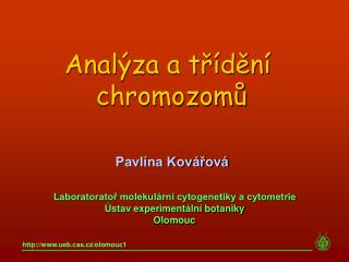 Laboratoratoř molekulární cytogenetiky a cytometrie Ústav experimentální botaniky Olomouc