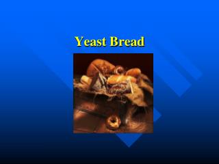 Yeast Bread