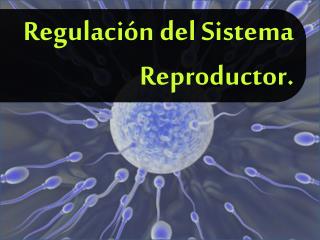 Regulación del Sistema Reproductor.