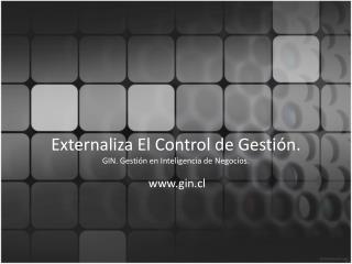 Externaliza El Control de Gestión. GIN. Gestión en Inteligencia de Negocios.