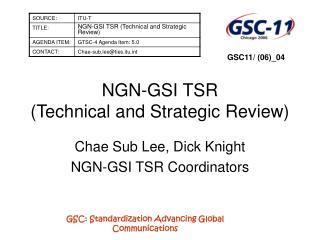 NGN-GSI TSR (Technical and Strategic Review)