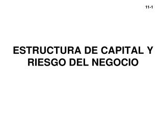 ESTRUCTURA DE CAPITAL Y RIESGO DEL NEGOCIO