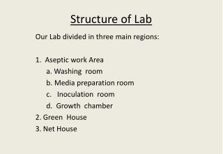 Structure of Lab