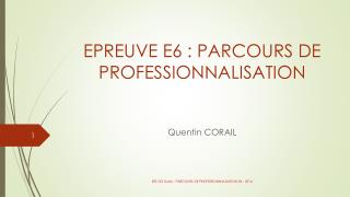 EPREUVE E6 : PARCOURS DE PROFESSIONNALISATION