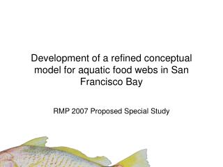 Development of a refined conceptual model for aquatic food webs in San Francisco Bay