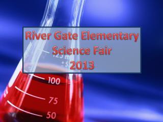 River Gate Elementary Science Fair 2013