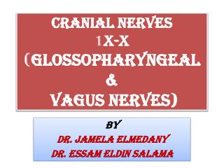Cranial Nerves 1 X-X ( Glossopharyngeal &amp; Vagus Nerves)