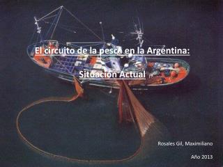 El circuito de la pesca en la Argentina: Situación Actual Rosales Gil, Maximiliano Año 2013