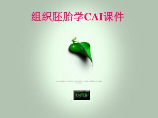 组织胚胎学 CAI 课件